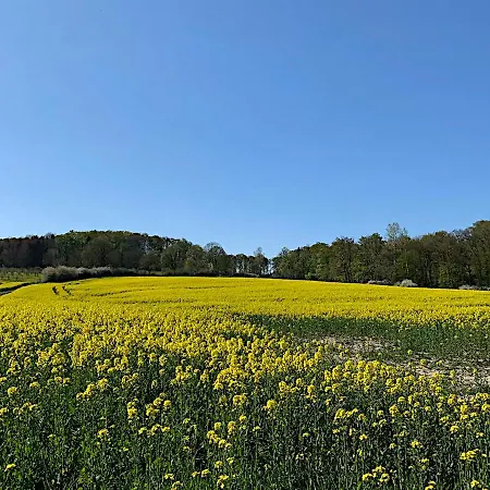 Gaestehaus Am Kurpark Garni Horn-Bad Meinberg