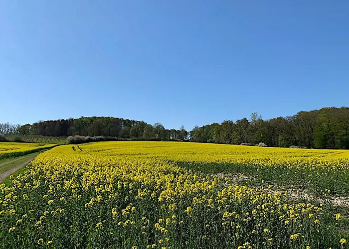 Gaestehaus Am Kurpark Garni Horn-Bad Meinberg